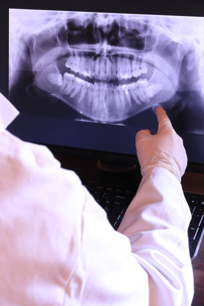 Best Emergency X-Rays and Diagnostics in Calais, ME